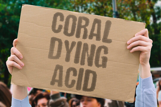 "Coral Dying Acid" Ocean acidification kills coral reef ecosystems faster than predicted. ACIDIFICATION. KILLS. CORAL. ECOSYSTEMS. PREDICTED.