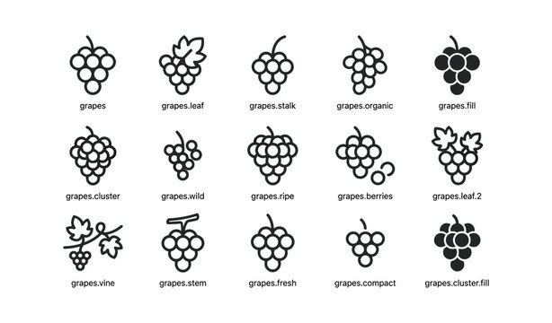 Grape icons and variations arranged in grid on white background