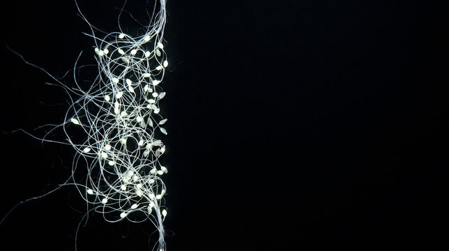 Luminous botanical fiber seeds and glowing white organic threads clustered on the far left edge of a deep black studio background with copy space void