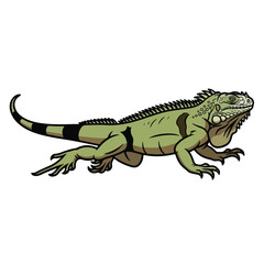 Obraz premium Green Iguana Reptile Cartoon Character Illustration