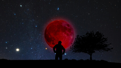 Fototapeta premium Amateur astronomer observing stars, planets, Moon eclipse and other celestial objects.