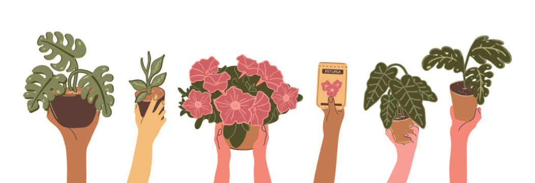 Diverse Hands Holding Houseplants and Seeds