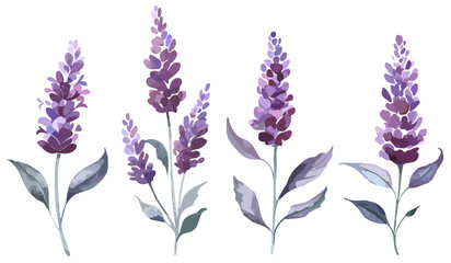 Fototapeta premium Modern watercolor painting of lavender flower field purple floral botanical simple minimalist illustration decorative graphic design art collection set painted digital drawing simple minimalist vector