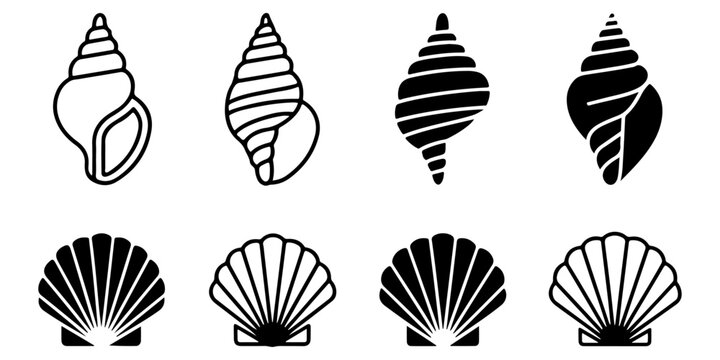 Seashell icon collection featuring conch and scallop shell silhouettes in decorative marine inspired black and white vector style
