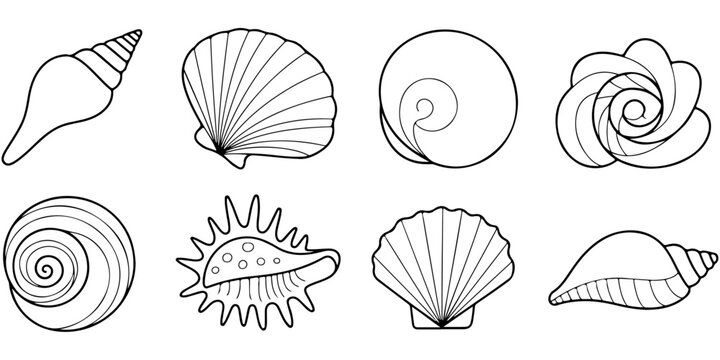 Seashell icon collection featuring conch and scallop shell silhouettes in decorative marine inspired black and white vector style