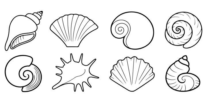 Seashell icon collection featuring conch and scallop shell silhouettes in decorative marine inspired black and white vector style