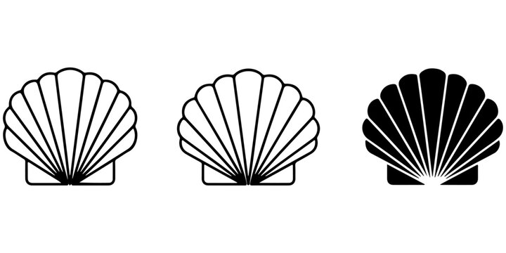 Seashell icon collection featuring conch and scallop shell silhouettes in decorative marine inspired black and white vector style