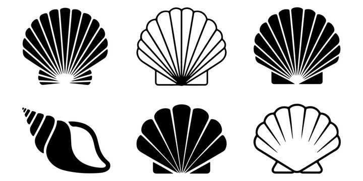 Seashell icon collection featuring conch and scallop shell silhouettes in decorative marine inspired black and white vector style