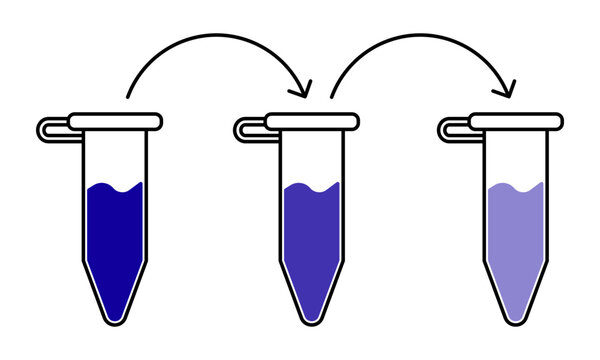 serial dilution process diagram with laboratory test tubes icon vector