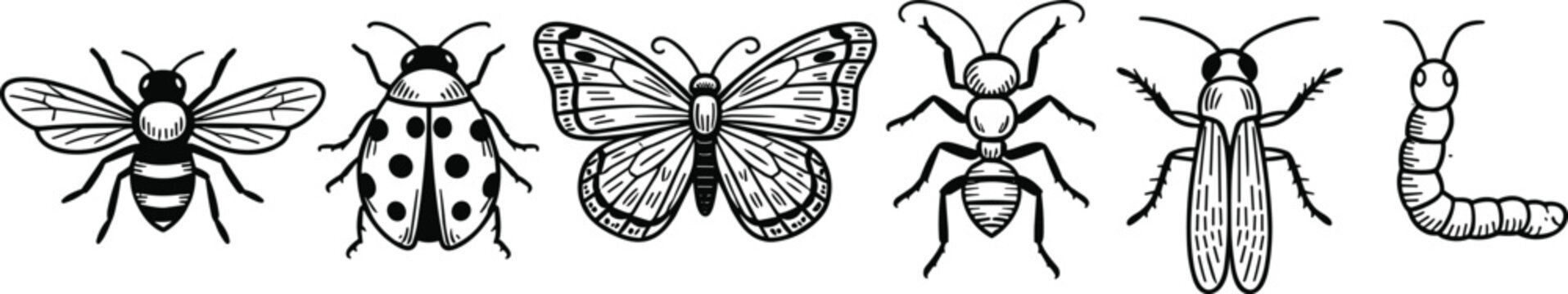 Insect silhouette icon set, bee ladybug vector, butterfly ant design, grasshopper caterpillar graphic, nature bug emblem, entomology symbol