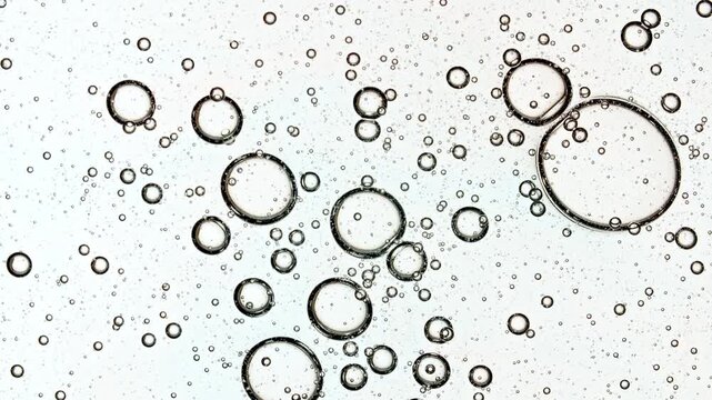 Cells Under a Microscope are Connected Into a Common Transparent Bubble Cluster With Molecule. Macro Shot of Molecule Science and Medicine. DNA. Medical Drug Manufacturing. High quality 4k footage