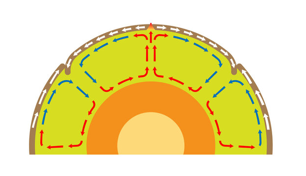 Diagram of Earth's Mantle Convection Currents and Plate Tectonics.