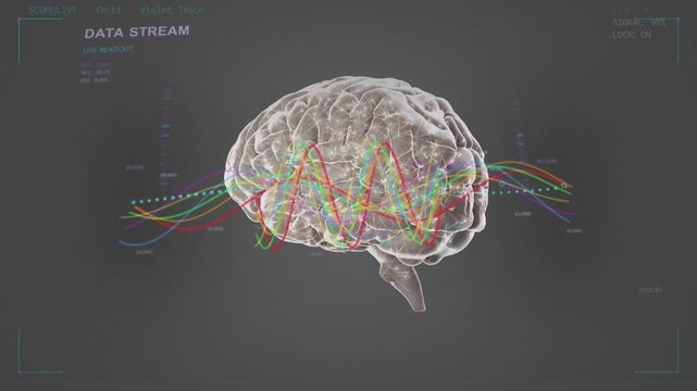 Left data stream starting sending color traces crossing 3D brain, nodes pulsing enabling live view