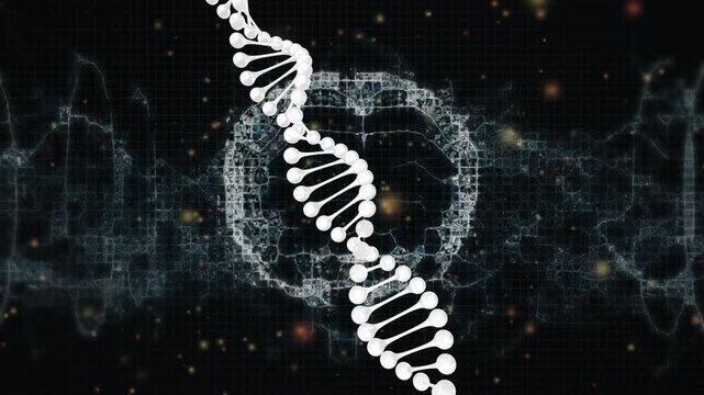 On start DNA helix rotating and bobbing over pulsing wireframe brain waveform, showing neural link