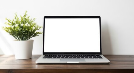 Fototapeta premium Laptop computer with blank screen on wooden desk next to potted plant indoors