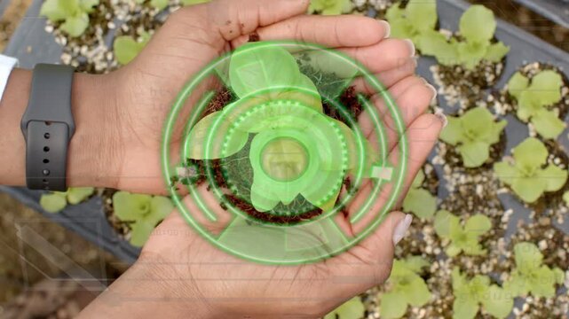 Woman presenting soil plug, AR aligning rings over plug and assessing seed health for gardening