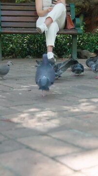 Vertical video: Sitting woman in tank top after checking phone feeding pigeons on bench brown bag