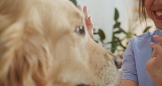 Happy woman giving a high five to a dog at home