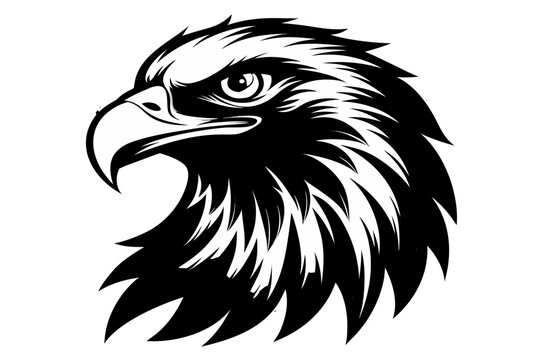 eagle head vector illustration, eagle head black icon, eagle head silhouette art
