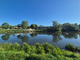 Obraz premium Serene pond with reflections under clear blue sky