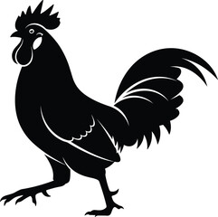 Detailed Black Rooster Silhouette Vector Illustration Featuring a Standing Cockerel with Elegant Feather Curves © Saminur