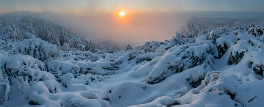 View of Salatin mountain peak covered in deep snow with the sun glowing through thick mist and frozen vegetation Liptovska Stiavnica, Zilinsky kraj, Slovakia.