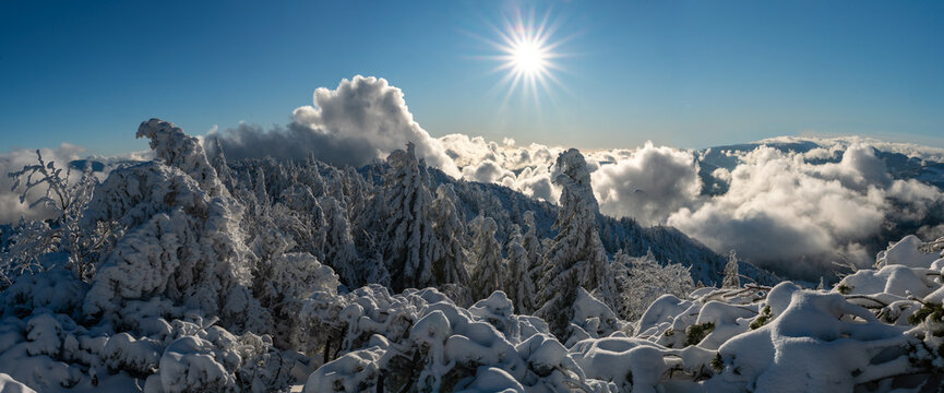 View of Salatin mountain and snow-covered pine trees under a bright sun starburst with thick clouds in the valley Liptovska Stiavnica, Zilinsky kraj, Slovakia.
