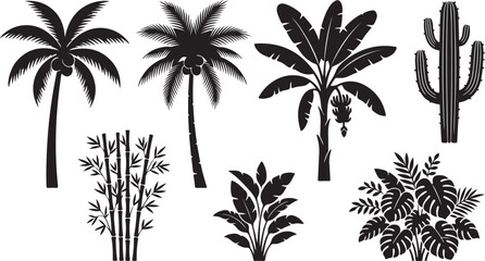Collection of tropical palm and banana tree silhouettes for summer landscape. © Musharof