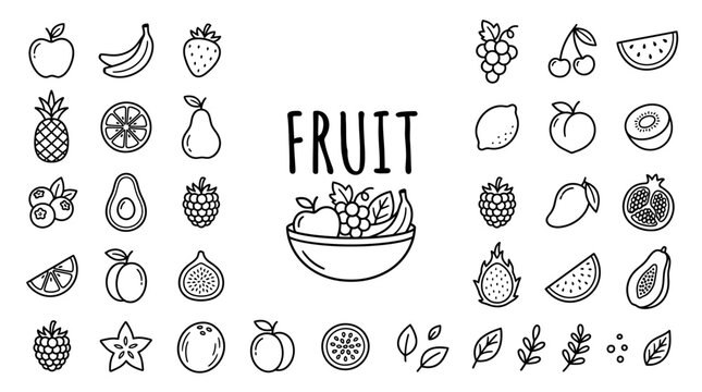 Variety of Fresh Fruit Illustrations.