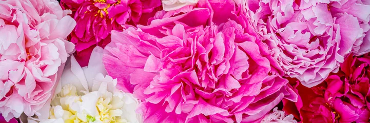 Fototapeten Pink Bright flowers of different colors are arranged together in a lovely display during springtime in a garden  © Fleuronica