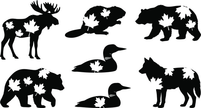 Canadian wildlife icons with maple leaves Vector Canada Day