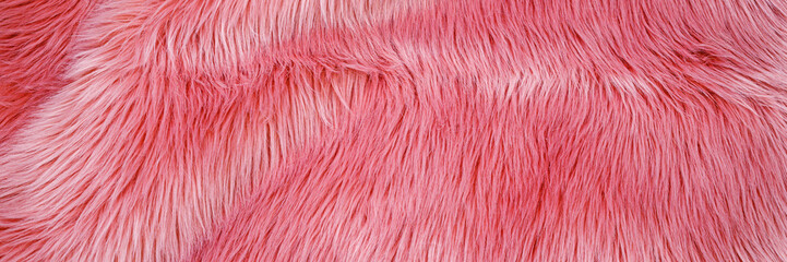 Fototapeta premium Fur texture in bright pink color spread out on a flat surface for display