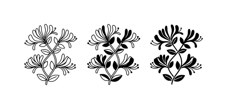 Symmetrical Honeysuckle Flower Vector Icons, Black and White Botanical Illustrations, Delicate Floral Motifs for Design