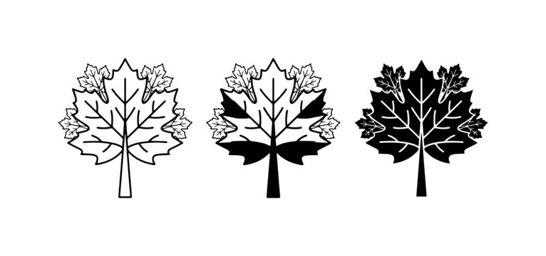 Maple Leaf Icons, Vector Set: Outline, Silhouette, and Filled Styles for Nature and Autumn Design Elements