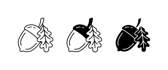 Set of three acorn and oak leaf icons, line art and solid fill vector graphics for autumn and nature themes © Raihan