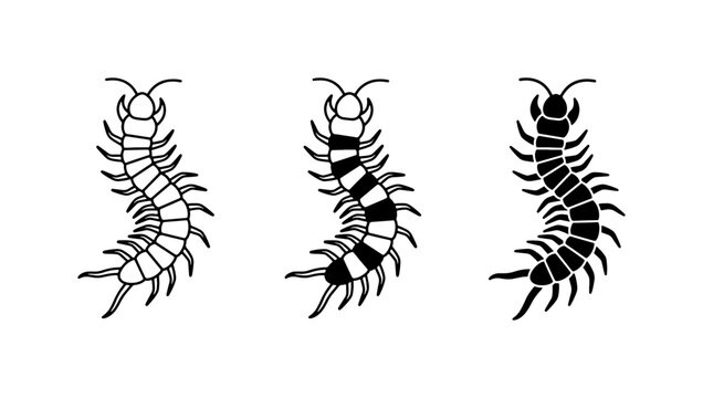 Three Stylized Centipede Vector Illustrations, Minimalist Insect Icons, Black and White Arthropod Graphics for Nature and Science Concepts
