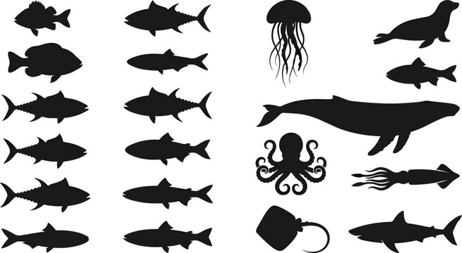 Marine animal silhouettes collection, ocean wildlife icons, fish species artwork, jellyfish illustration, whale vector design, shark octopus squid graphics bundle
