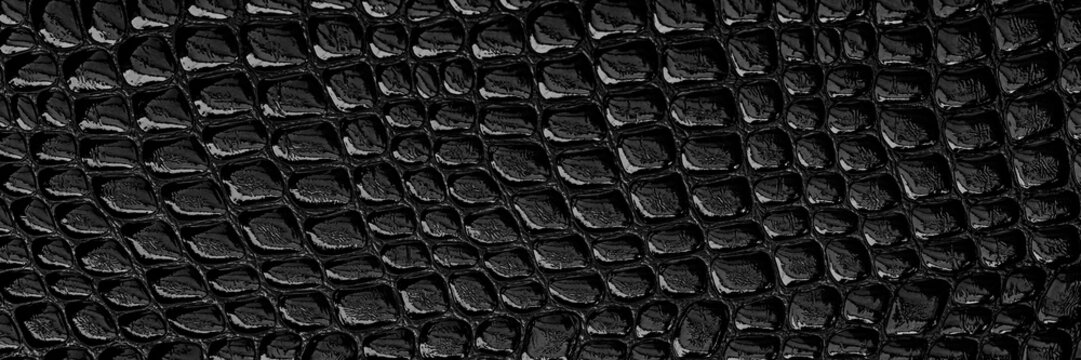 Close-up view of black crocodile skin texture showing patterns and details from a detailed surface
