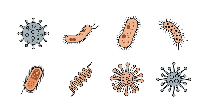 Various types of bacteria and viruses illustrated in a simple cartoon style.