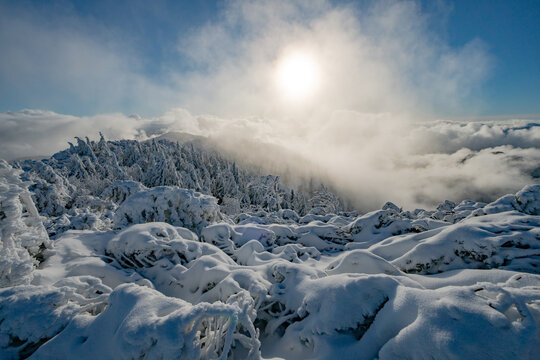 View of Salatin mountain peak with snow-covered pine trees and thick white clouds under a bright winter sun in Liptovska Stiavnica, Zilinsky kraj, Slovakia.