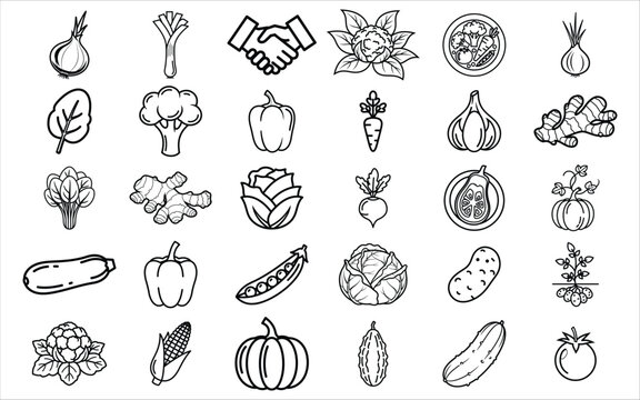 A comprehensive collection of hand drawn vegetable icons and food symbols