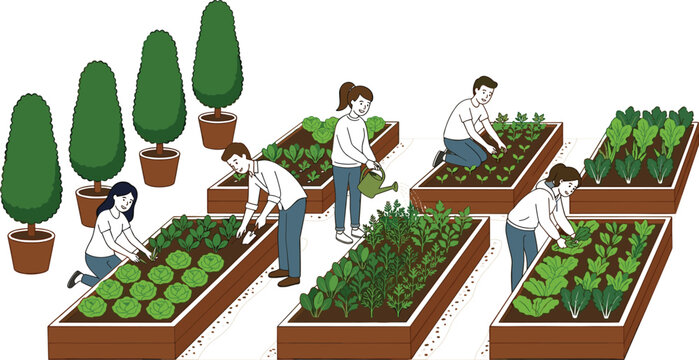 People working in vegetable garden beds with planting and harvesting activities in modern flat vector illustration farming style