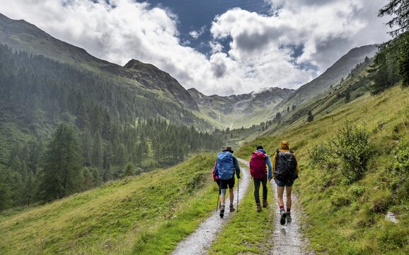 Mountaineer on a forest path in Mullitztal, ascent to Las&ouml;rlingh&uuml;tte from Virgental, Las&ouml;rlinggruppe, Hohe Tauern, East Tyrol, Tyrol, Austria