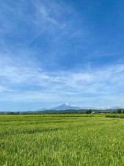 Fototapeta premium Beautiful blue sky over green field landscape with clear weather and natural horizonWide landscape view featuring a bright blue sky above green open fields with a peaceful natural atmosphere and min