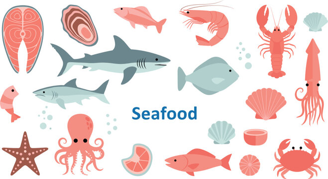 Flat seafood collection with text. Salmon steak, shark, lobster, and octopus vectors. Diverse marine animals and shells isolated on white background for menu design.