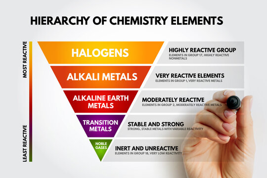 Hierarchy of chemistry elements showing halogens alkali metals alkaline earth transition and noble gases categories from most to least reactive with explanatory descriptions and hand marker