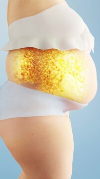 3D animation of body management: a woman burning fat to lose weight and reduce belly fat. From obese to slim, before and after transformation via fitness and body shaping.