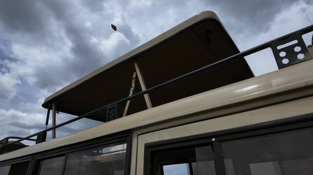 Close-up of a specialized safari vehicle with an open pop-up roof for wildlife viewing