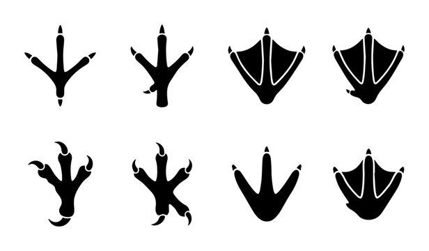Diverse Bird Footprint Collection, Avian Tracks Vector Icons, Wildlife Paw Prints Graphic Elements, Nature Animal Traces Set