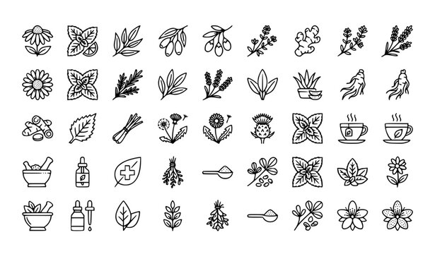 Medical herbs flat line 28 icon set with echinacea chamomile ginger and editable stroke vector collection